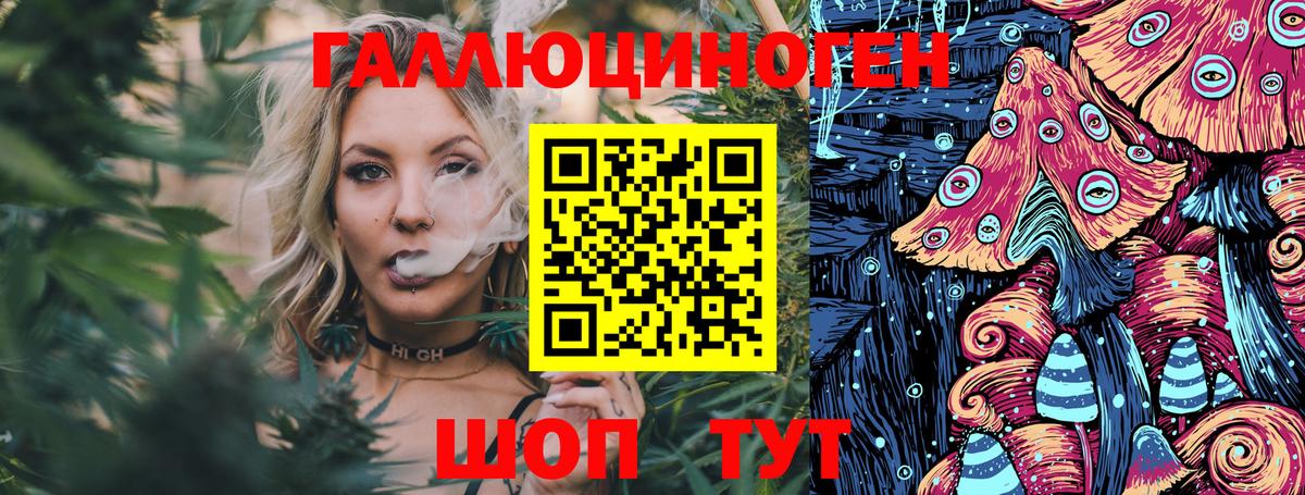 Галлюциногенные грибы прущие грибы  Вход с VPN  Псилоцибиновые грибы Cubensis  Саки 
